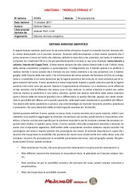 Ann06.midollo Spinale 6